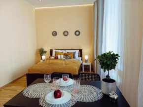 Centrally located Studio apartment